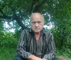 Юрий Гаврилович, 75 лет, Красний Луч