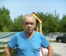 анатолий, 71 год, Череповец