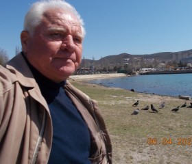 Валерий Орлов, 69 лет, Севастополь