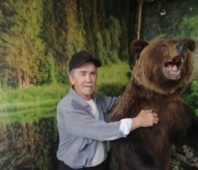 Aleksey, 65, Kunashak