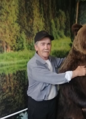 Aleksey, 65, Russia, Kunashak