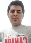 Saeid, 32 года, ايرانشهر