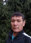 Жаныбек, 42 года, Бишкек