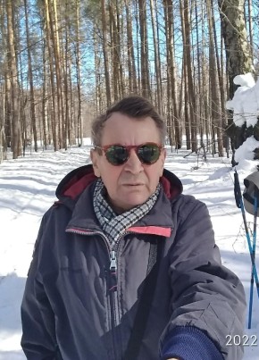 Viktor, 73, Russia, Izhevsk
