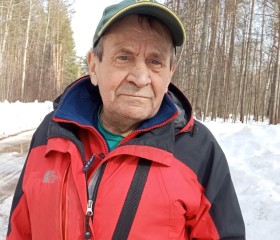 Виктор, 73 года, Ижевск