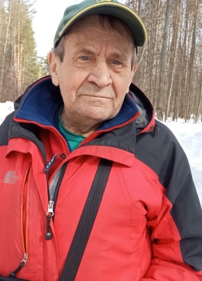 Виктор, 72, Россия, Ижевск