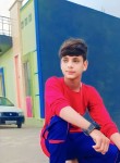 Aamir Malik, 19 лет, Delhi