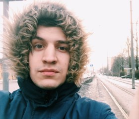Михаил, 29 лет, Смоленск