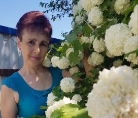 Антонина, 60 лет, Великий Новгород