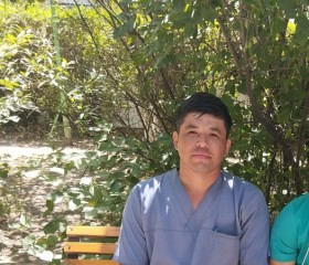 DOKTOR, 28 лет, Toshkent