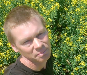 Volodya, 40, Washington D.C.