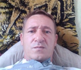 Николай, 46 лет, Невинномысск