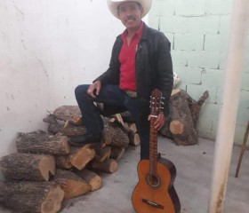 Ametico, 58 лет, Juárez (Estado de Nuevo León)