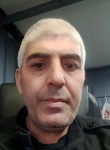 Gamza, 41, Belidzhi