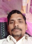 Manoj, 40 лет, Kanpur