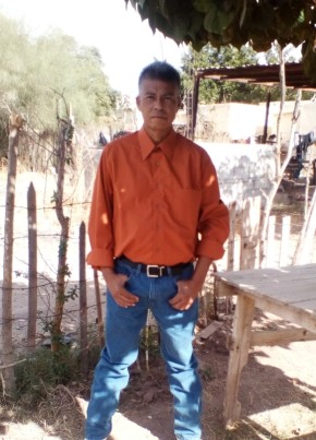 Juan, 54, Estados Unidos Mexicanos, Navojoa