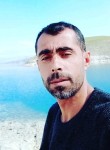 Yusuf barış, 39 лет, İzmir