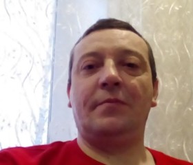 Дмитрий, 43 года, Нижний Ломов