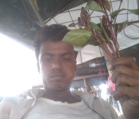 ناصر محمد, 19, Al Hudaydah