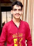 Zeeshan Ali Ansa, 18 лет, فیصل آباد