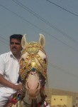 Kailash, 36 лет, Jaisalmer