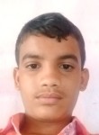 Pavan, 18 лет, New Delhi