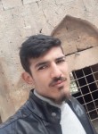 Yusuf ertem, 20 лет, Kızıltepe