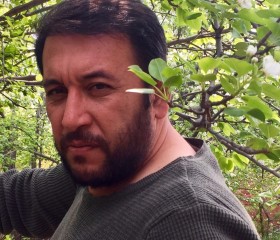 ibrahim hamdi, 47, Balad