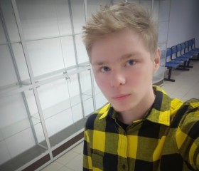 Алексей, 20 лет, Череповец