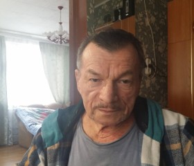 Алексей Любимов, 68 лет, Мокшан