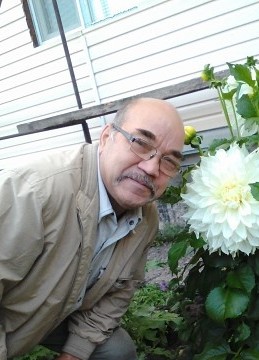 Шамиль, 71, Россия, Красноярск