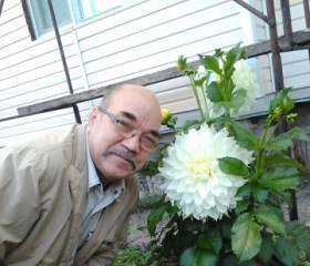 Шамиль, 71 год, Красноярск