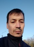 Anvar, 46 лет, Гатчина
