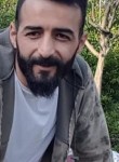 Mustafa, 33 года, Çatalca