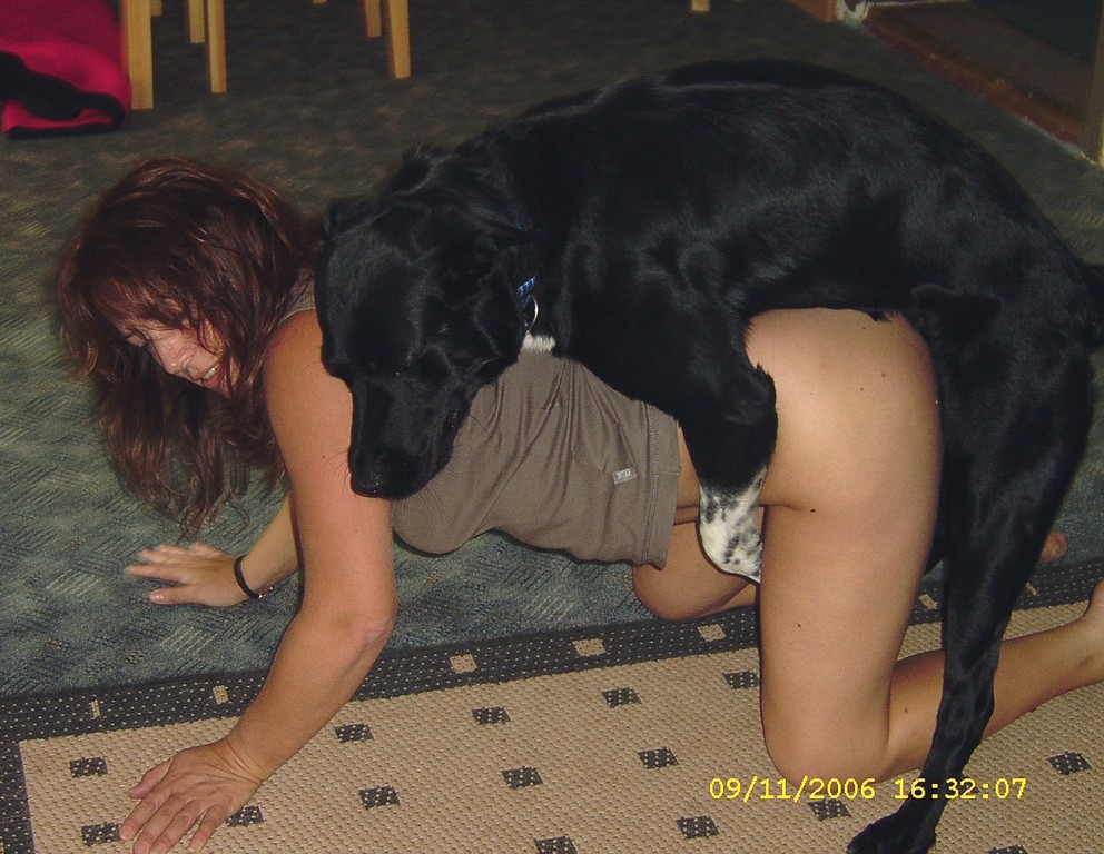 Dog knots in wife - 🧡 Adult Cam To Cam Sites embracetutoring.com.