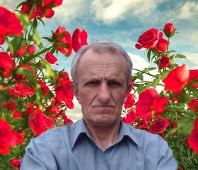 Николай, 65 лет, Київ