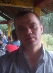 Дмитрий, 42 года, Полевской