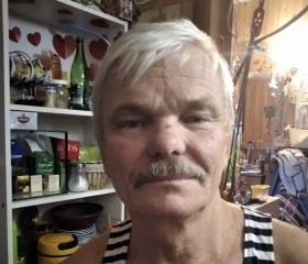Михаил, 69 лет, Белгород