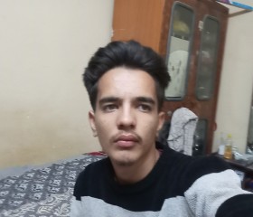 Daniyal, 19, Palakkodu
