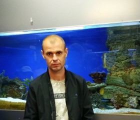Максим, 41 год, Горад Мінск