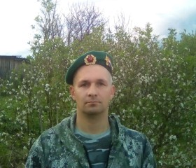 Юрий, 44 года, Вожега