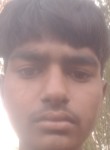 Ankesh, 18 лет, Fatehpur, Uttar Pradesh