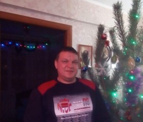 Сергей, 48 лет, Людиново