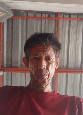 Hami Dullah из Kota Depok 54 года