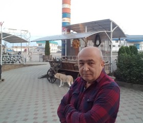 Владимир, 62 года, Северская
