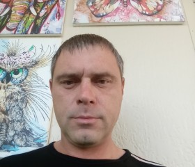 Дмитрий Донцов, 41 год, Великий Новгород