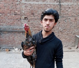 Umarkartoos, 23 года, لاہور