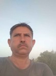 Mahendra Kumar, 49  , Jaipur