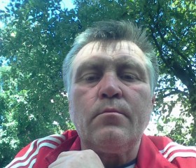Андрей Притчин, 51 год, Полтава