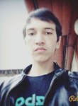 Рустам, 29 лет, Түркістан